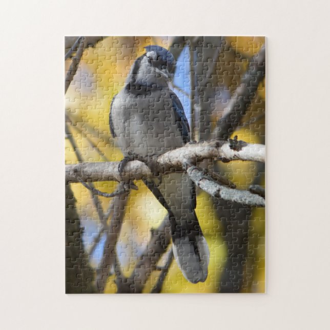 Blue Jay Puzzle (Vertical)