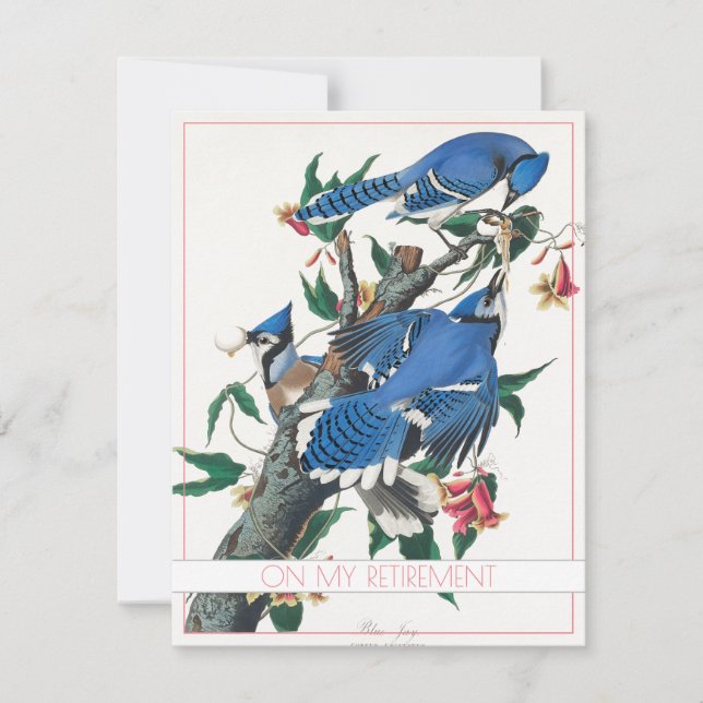 BLUE JAY RETIREMENT PARTY INVITATION FLAT CARD (Front)