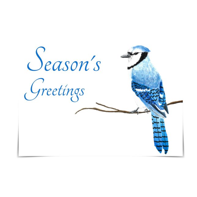 Blue Jay Season's Greetings Watercolour Card (Creator Uploaded)