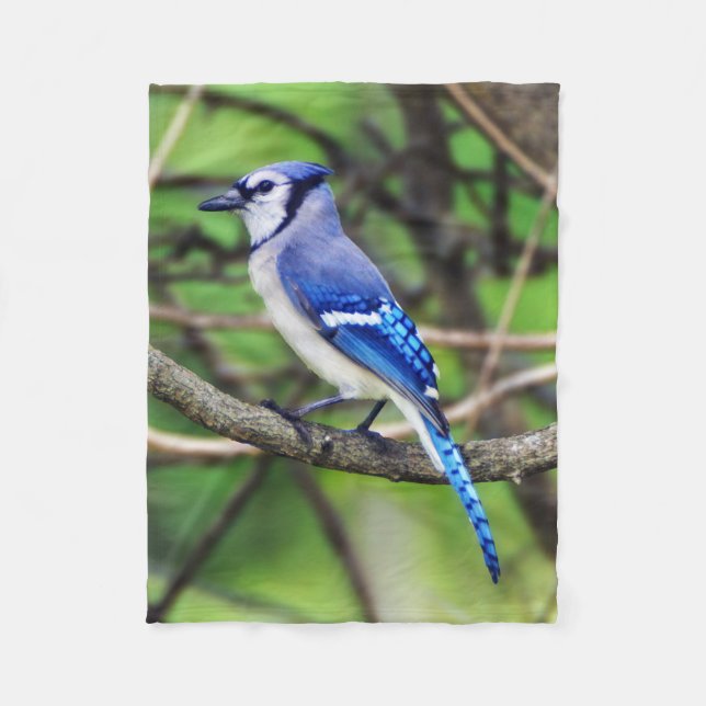 Blue Jay Small Fleece Blanket (Front)
