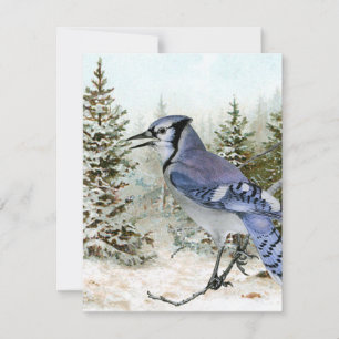 Blue Jay Snow Forest Christmas Holiday Bird Nature Card