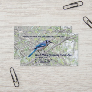 Blue Jay Songbird Business Card