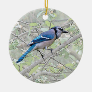 Blue Jay Songbird Ceramic Ornament