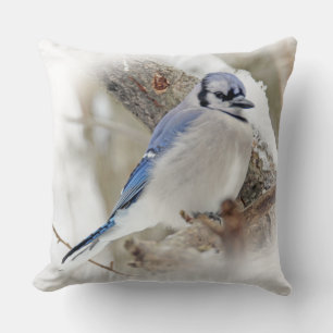 Blue Jay Songbird in Snow Cushion