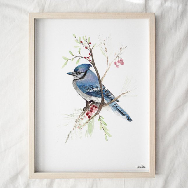 Blue Jay Songbird Watercolor Art Print (Creator Uploaded)