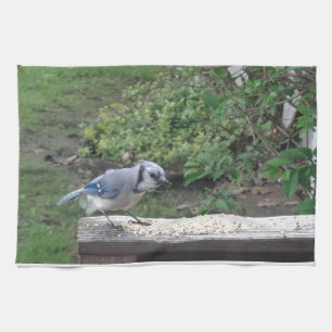 Blue Jay Tea Towel