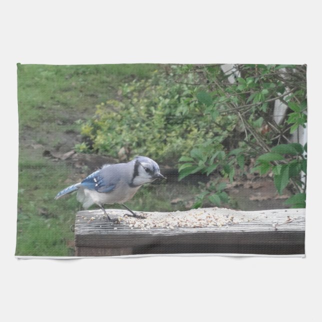 Blue Jay Tea Towel (Horizontal)