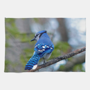 Blue Jay Tea Towel