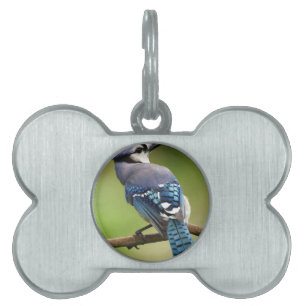 Blue Jay thinking of you friend family mum dad Pet Name Tag