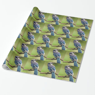 Blue Jay thinking of you friend family mum dad Wrapping Paper