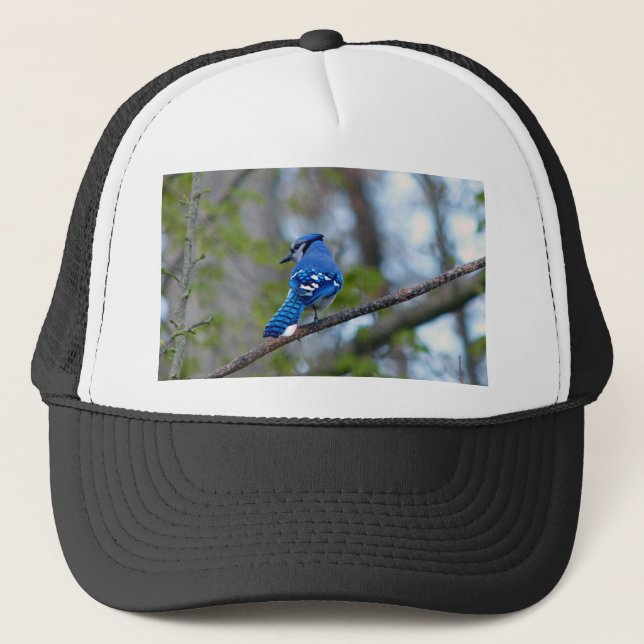 Blue Jay Trucker Hat (Front)