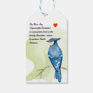 Blue jay watercolor painting gift tags