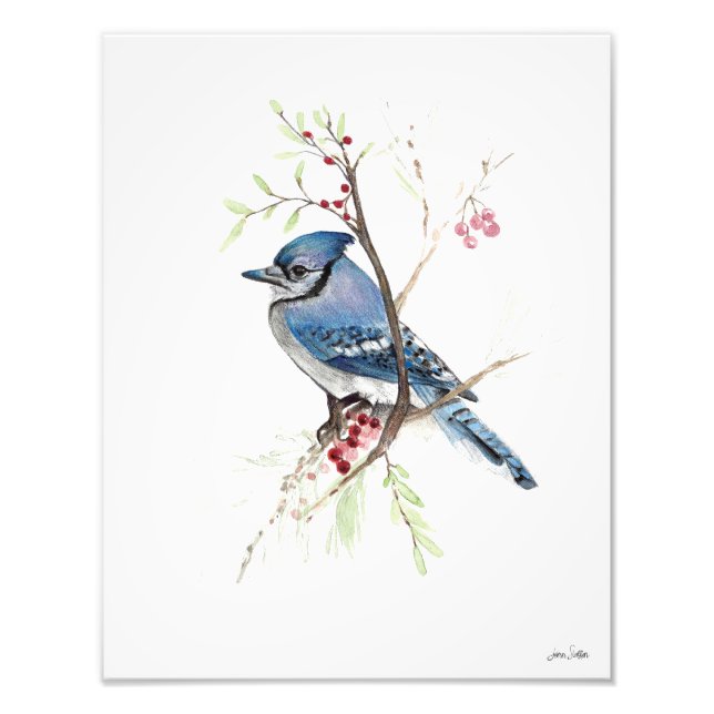 Blue Jay Watercolor Photo Print (Front)