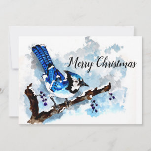Blue Jay Winter Holiday Card