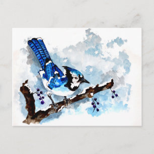 Blue Jay Winter Postcard