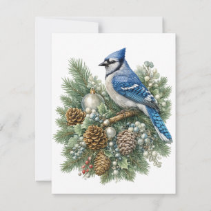 Blue Jay Winter Songbirds Collection Card