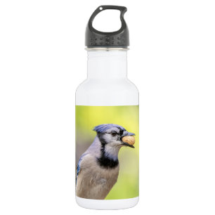 Blue jay with a peanut 532 ml water bottle