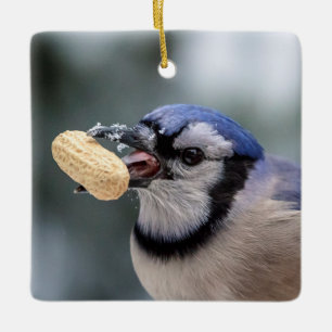 Blue jay with a peanut ceramic tree decoration
