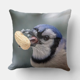 Blue jay with a peanut cushion