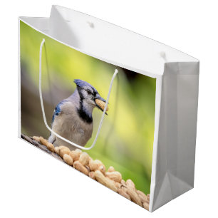 Blue jay with a peanut large gift bag
