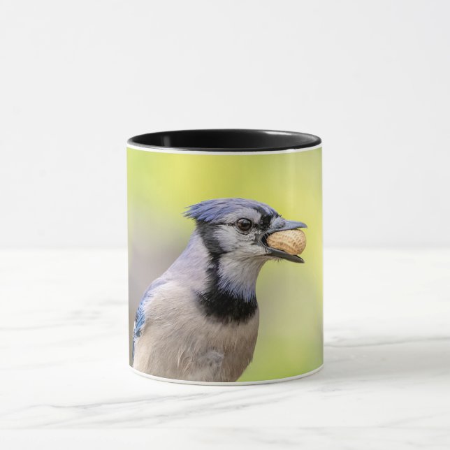 Blue jay with a peanut mug (Center)