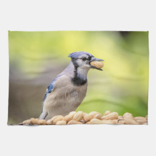Blue jay with a peanut tea towel