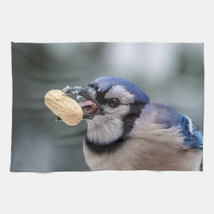 Blue jay with a peanut tea towel