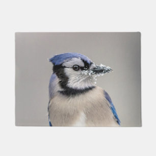 Blue jay with snow on his beak doormat