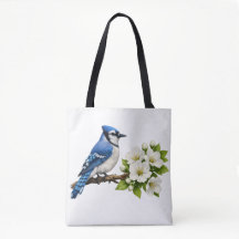 Blue Jay with White Blossoms