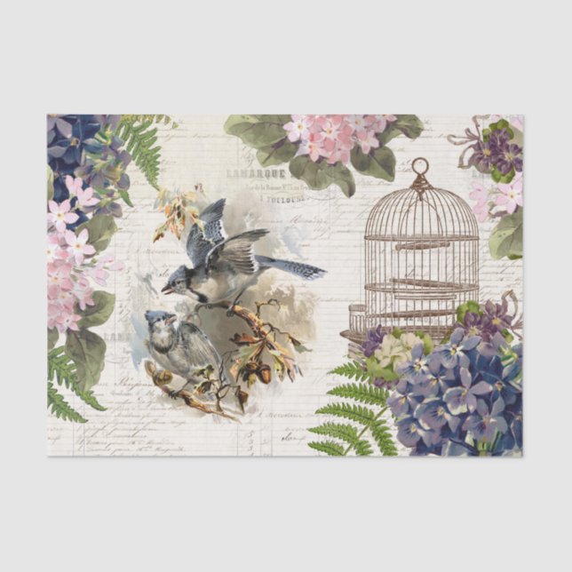 Blue Jays Vintage Birdcage Floral Tissue Paper (Front)