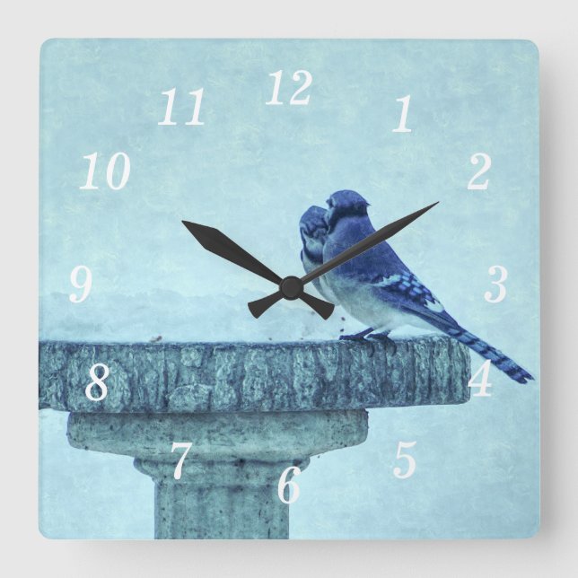 Blue Jays Winter Feeding Painterly Wall Clock (Front)
