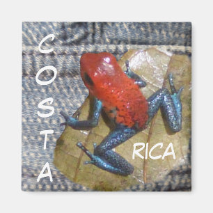 Blue Jeans Frog Customisable Magnet