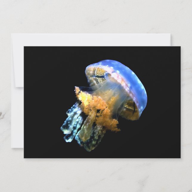 Blue Jellyfish (Front)