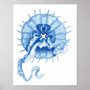 Blue Jellyfish Art Print no.4 Nautical Wall Decor