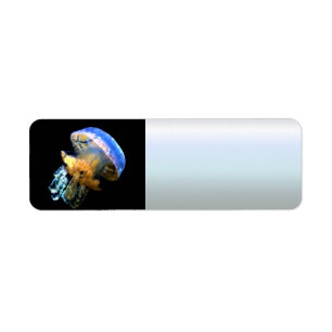 Blue Jellyfish Return Address Label