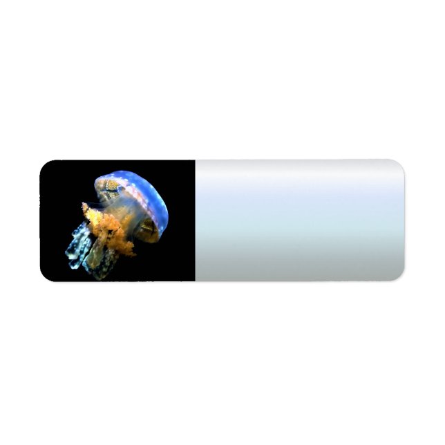Blue Jellyfish Return Address Label (Front)