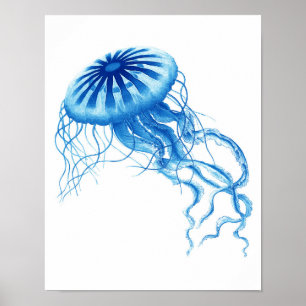 Blue Jellyfish Vintage Art Print No.3 Beach Decor