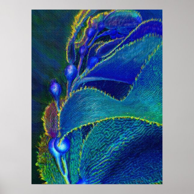 blue kelp poster (Front)