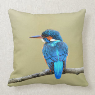 Blue Kingfisher Bird Cushion