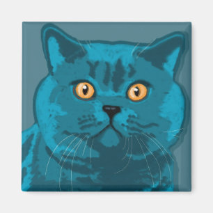 Blue kitty magnet