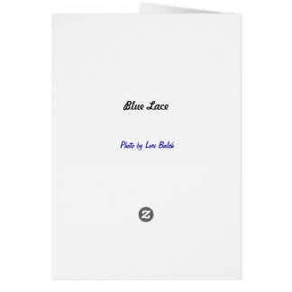 Blue Lace