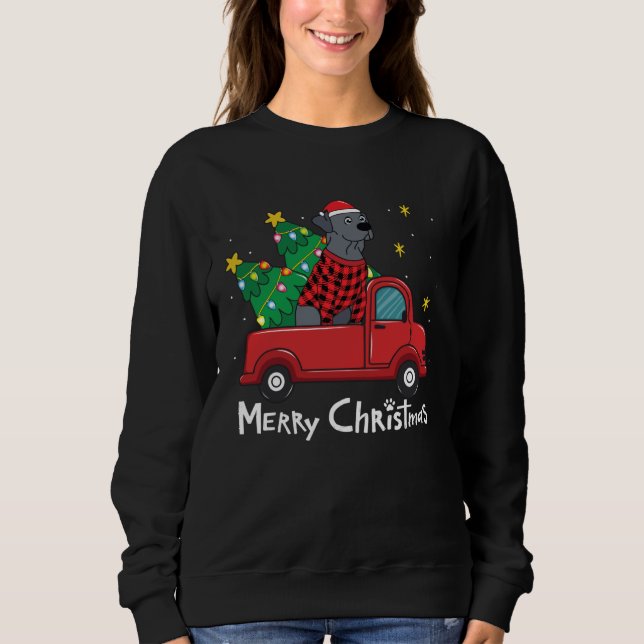 Blue Lace Christmas  Truck  Blue Lacy Sweatshirt (Front)