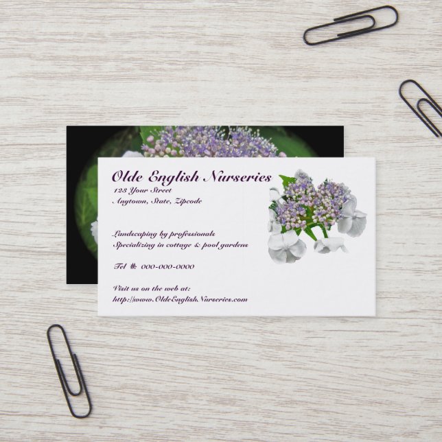 Blue Lace Hydrangea Business Card (Front/Back In Situ)