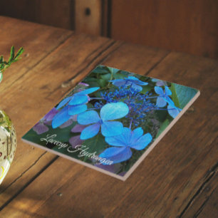 Blue Lacecap Hydrangea Floral Ceramic Tile