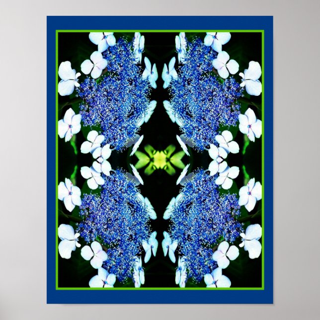 Blue Lacecap Hydrangea Flower Close Up Abstract  Poster (Front)