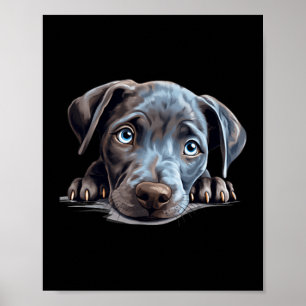 Blue Lacy Dog Mum Dad Peeking Puppy Poster