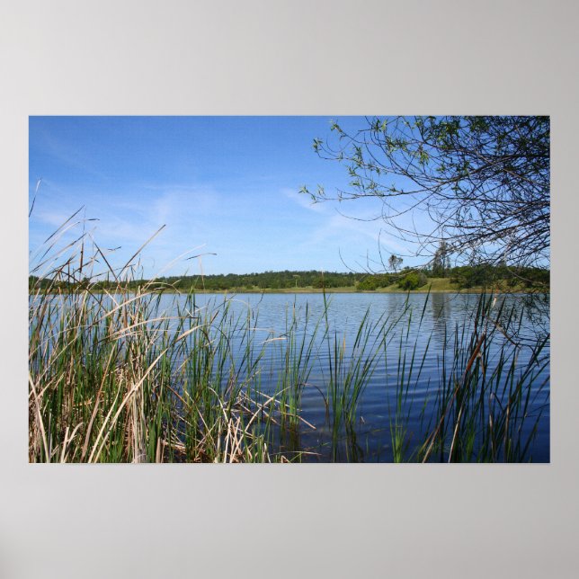 "Blue Lagoon" Poster (Front)