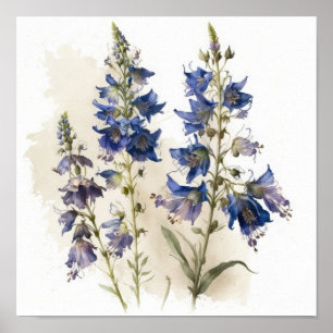 Blue Larkspur Flower Art Print Poster