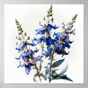 Blue Larkspur Flower Art Print Poster