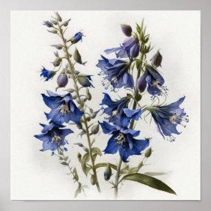 Blue Larkspur Flower Art Print Poster